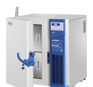 Tủ Lạnh Âm 86 Độ 100 Lít Haier BioMedical DW-86L100J